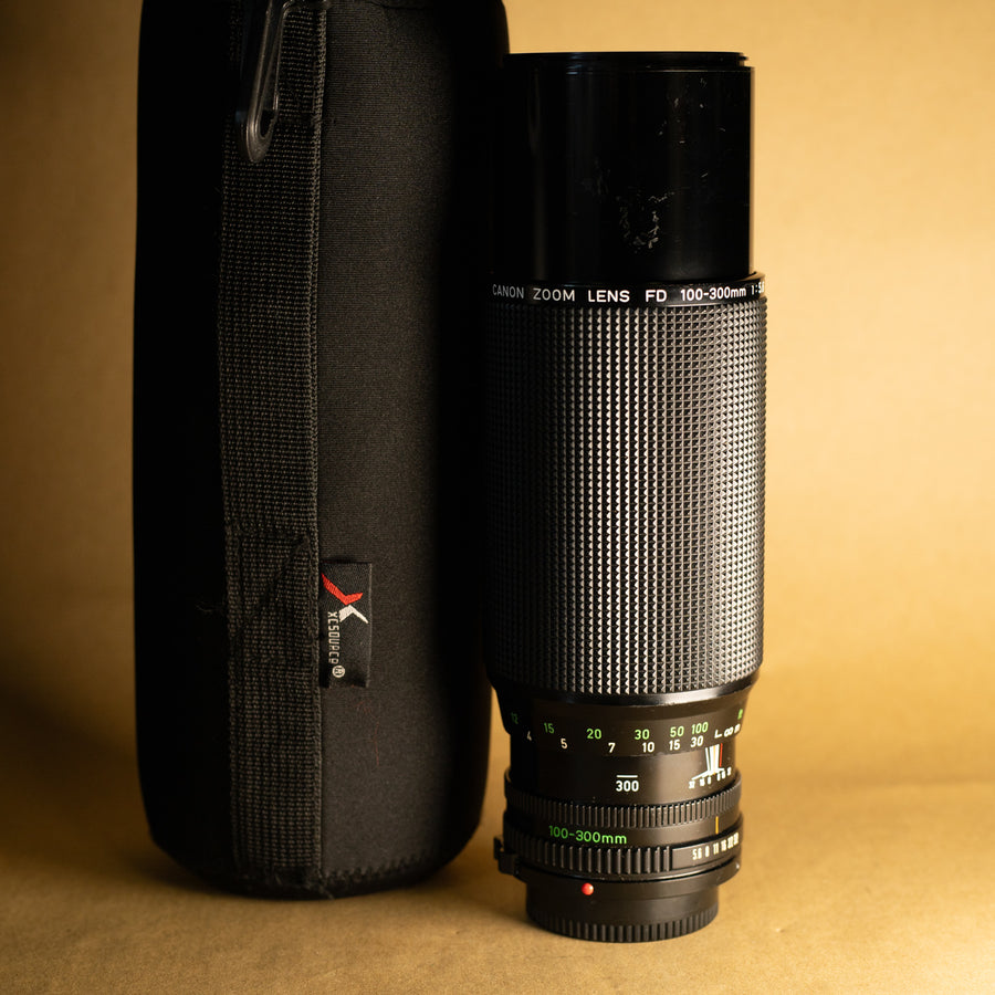 Canon 100-300mm f/5.6 Zoom Lens