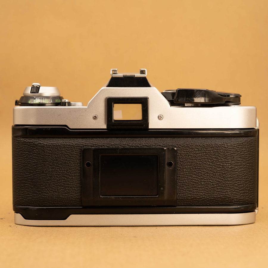 Canon AE-1 Program + D. BACK + FD 50 1.4 AE-1 Canon Program SLR