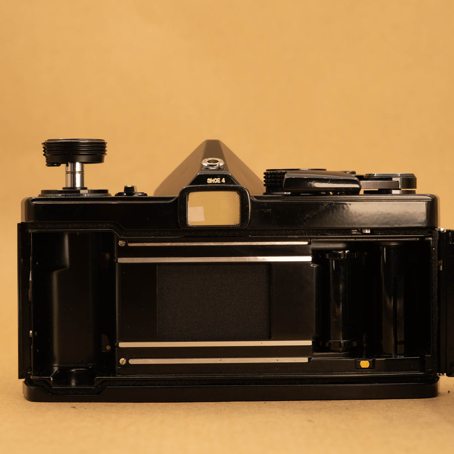 Bois de rose Olympus OM-1 avec objectif 50 mm f/1.8