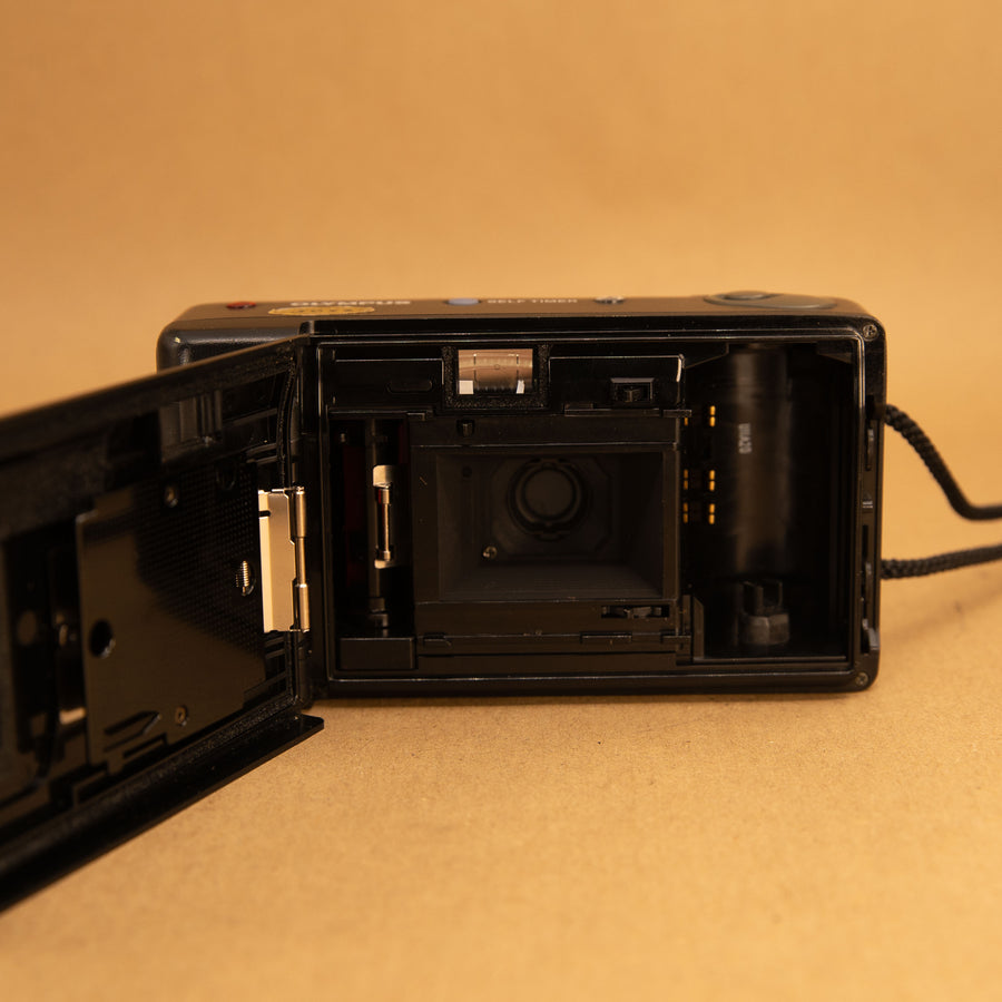 Olympus AF-10