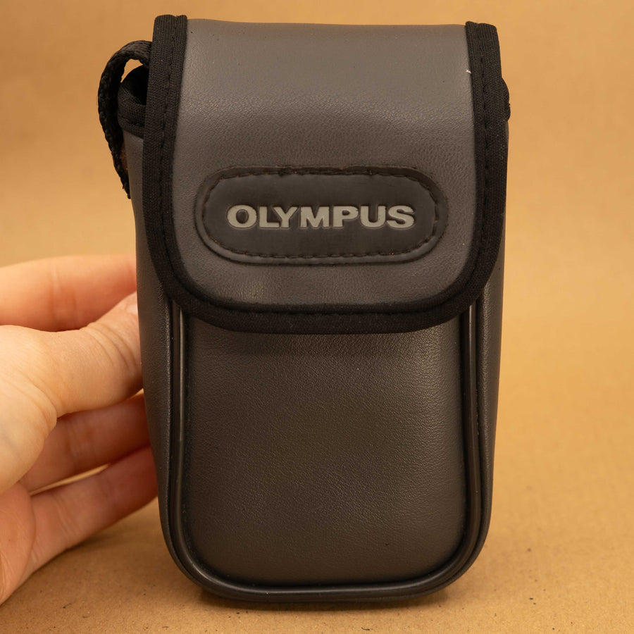 Olympus Point and Shoot Case