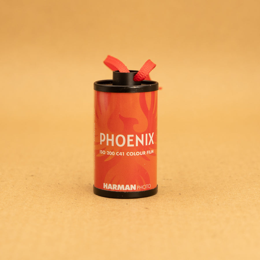 Film Canister Decoration