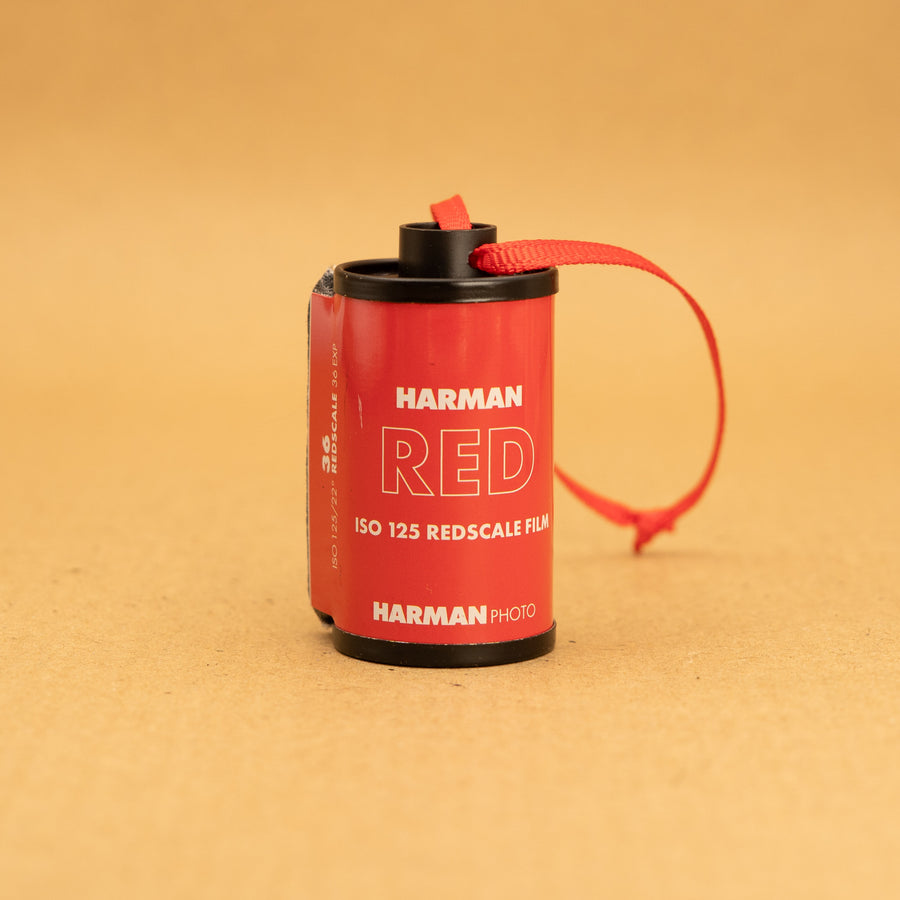 Film Canister Decoration
